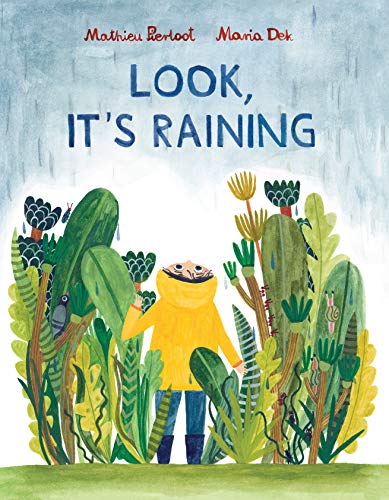 cover image Look, It’s Raining