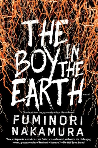 cover image The Boy in the Earth