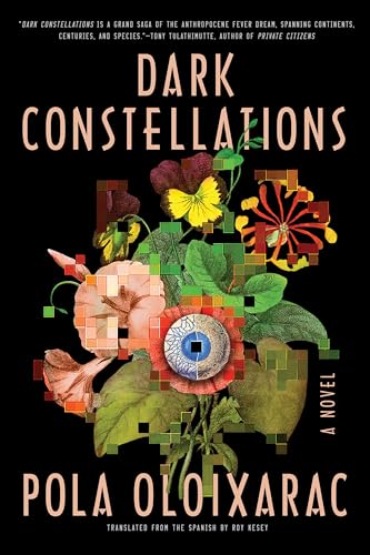 cover image Dark Constellations