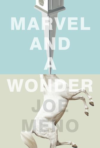 cover image Marvel and a Wonder