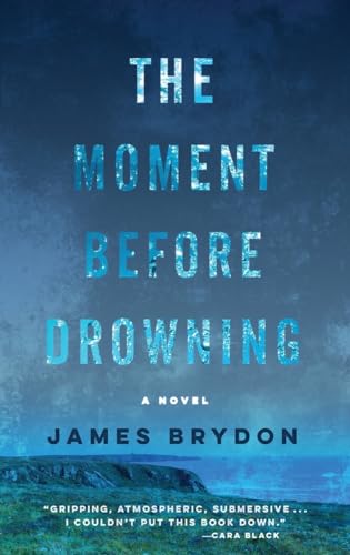 cover image The Moment Before Drowning