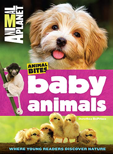 cover image Animal Bites: Baby Animals