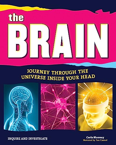 cover image The Brain: Journey Through the Universe Inside Your Head