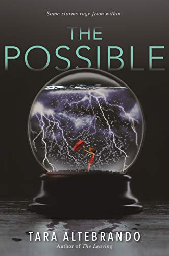 cover image The Possible