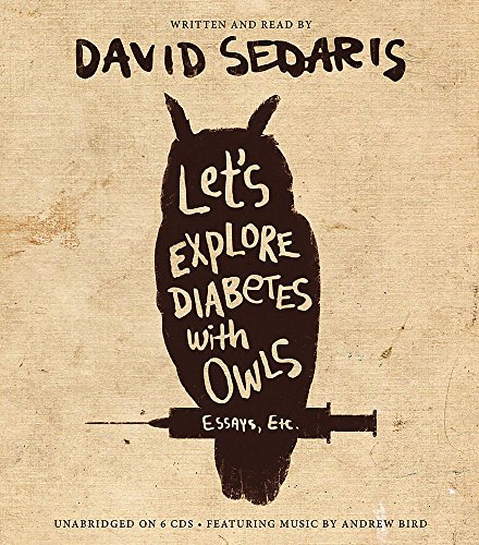 cover image Let’s Explore Diabetes with Owls