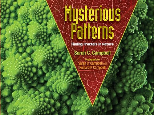 cover image Mysterious Patterns: Finding Fractals in Nature