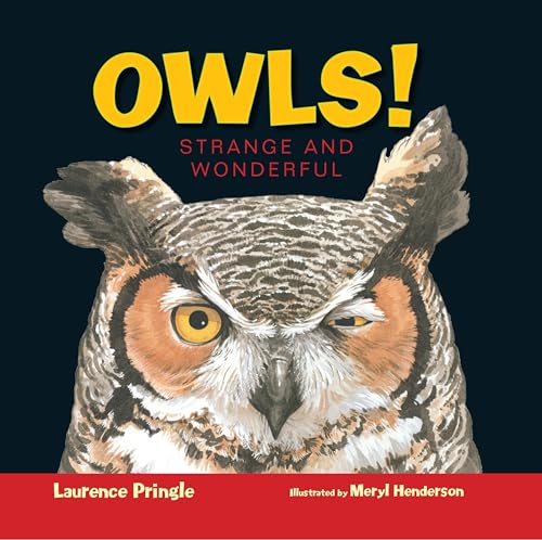 cover image Owls! Strange and Wonderful