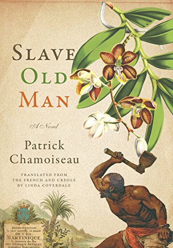 cover image Slave Old Man