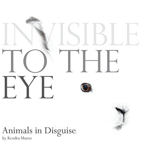 cover image Invisible to the Eye: Animals in Disguise