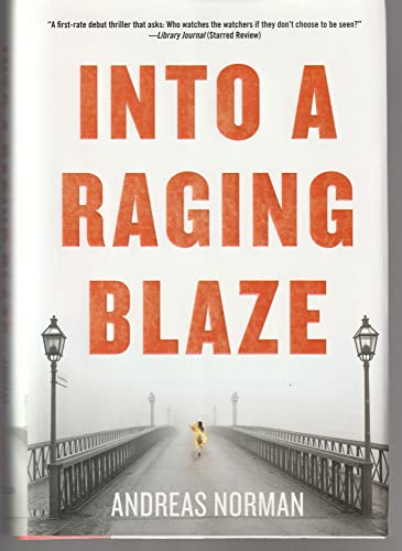 cover image Into a Raging Blaze