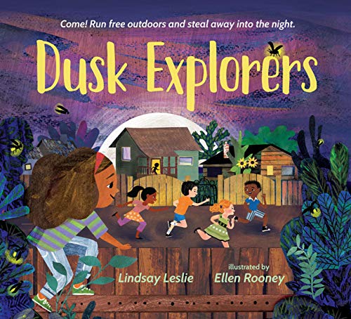 cover image Dusk Explorers