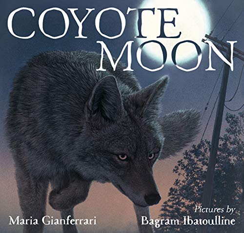 cover image Coyote Moon