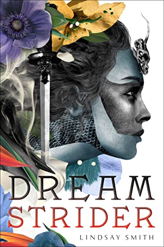 cover image Dreamstrider