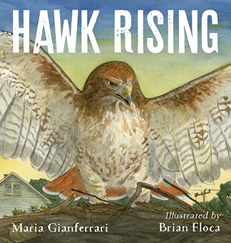 cover image Hawk Rising