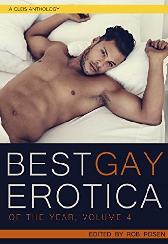 cover image Best Gay Erotica of the Year, Vol. 4