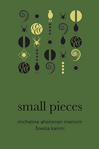 cover image Small Pieces