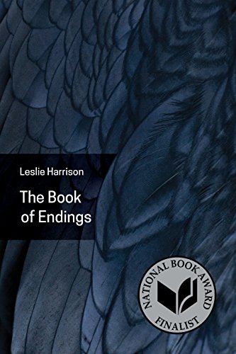 cover image The Book of Endings