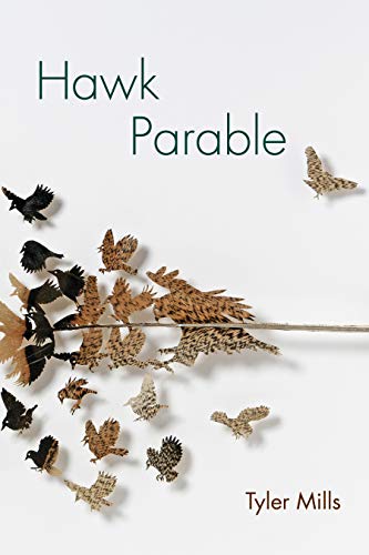 cover image Hawk Parable 