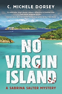 No Virgin Island: A Sabrina Salter Mystery