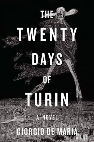 cover image The Twenty Days of Turin
