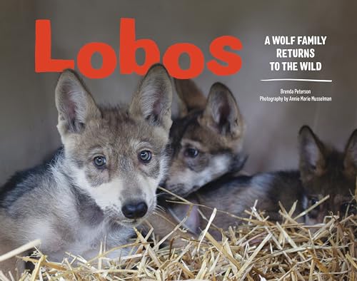 cover image Lobos: A Wolf Family Returns to the Wild