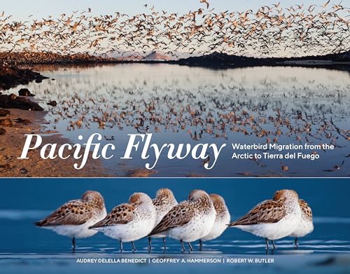 cover image Pacific Flyway: Waterbird Migration from the Arctic to Tierra del Fuego 