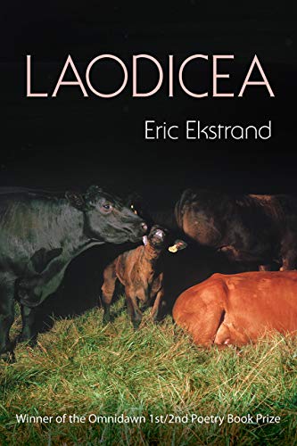 cover image Laodicea