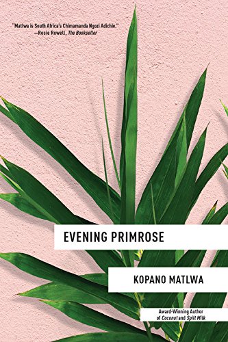 cover image Evening Primrose