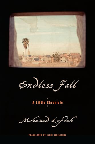 cover image Endless Fall: A Little Chronicle