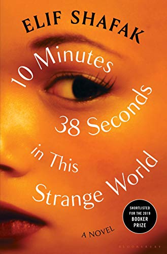 cover image 10 Minutes 38 Seconds in This Strange World