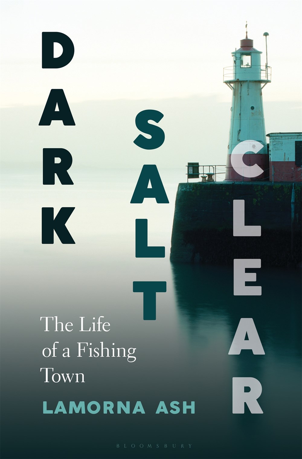 cover image Dark, Salt, Clear: The Life of a Fishing Town