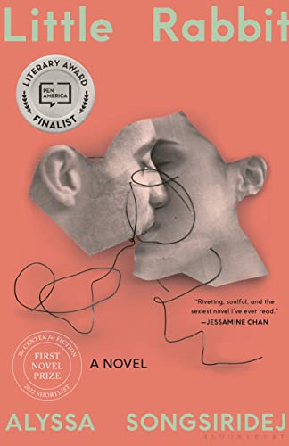 cover image Little Rabbit