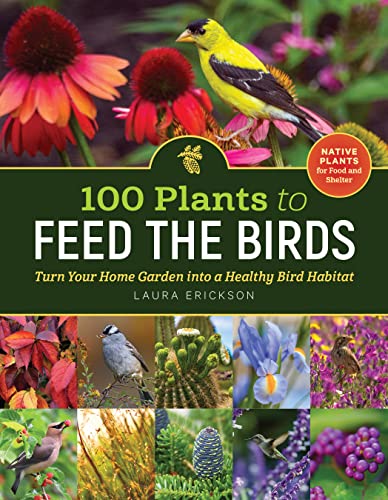 cover image 100 Plants to Feed the Birds: Turn Your Home Garden into a Healthy Bird Habitat