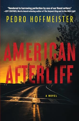 cover image American Afterlife