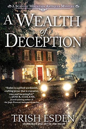 cover image A Wealth of Deception: A Scandal Mountain Antiques Mystery