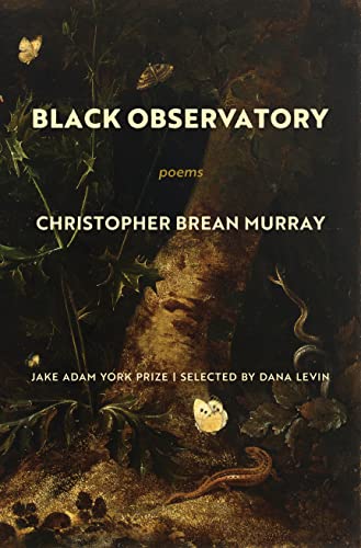 cover image Black Observatory 
