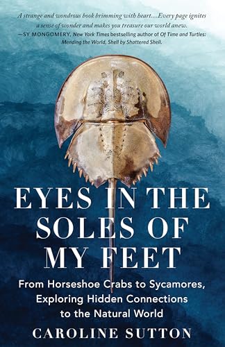 cover image Eyes in the Soles of My Feet: From Horseshoe Crabs to Sycamores, Exploring Hidden Connections to the Natural World