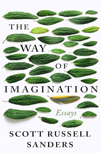 cover image The Way of Imagination: Essays