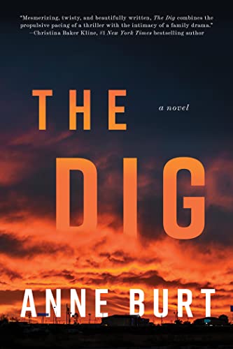 cover image The Dig