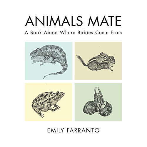cover image Animals Mate: A Book About Where Babies Come From