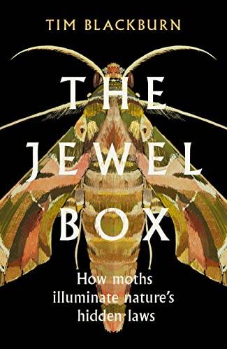 cover image The Jewel Box: How Moths Illuminate Nature’s Hidden Laws
