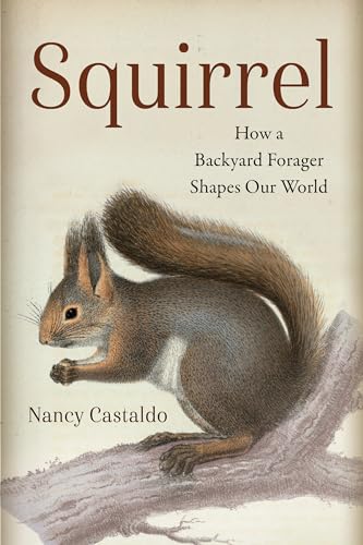 cover image Squirrel: How a Backyard Forager Shapes Our World