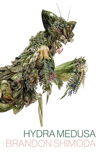 cover image Hydra Medusa