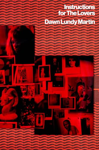 cover image Instructions for the Lovers 