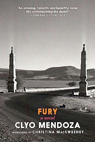 cover image Fury