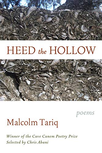 cover image Heed the Hollow
