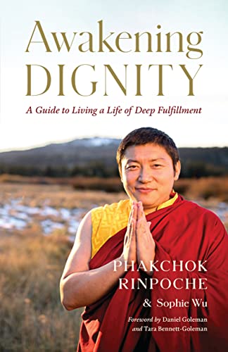 cover image Awakening Dignity: A Guide to Living a Life of Deep Fulfillment