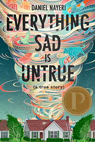 cover image Everything Sad Is Untrue (A True Story)