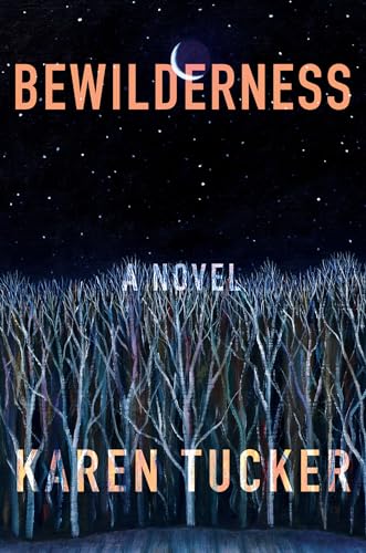 cover image Bewilderness