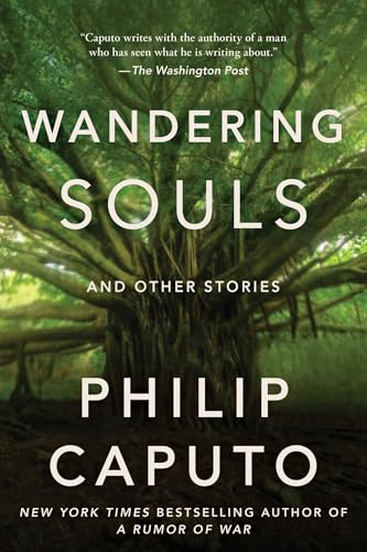 cover image Wandering Souls